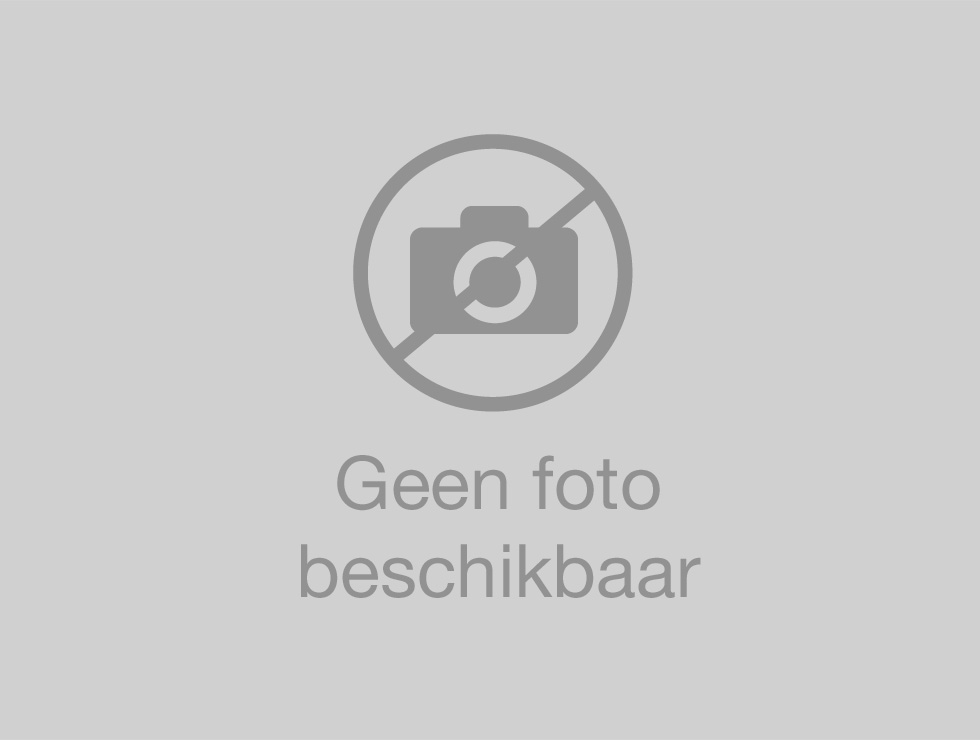 Eriophyes ilicis: Larve | © PCS